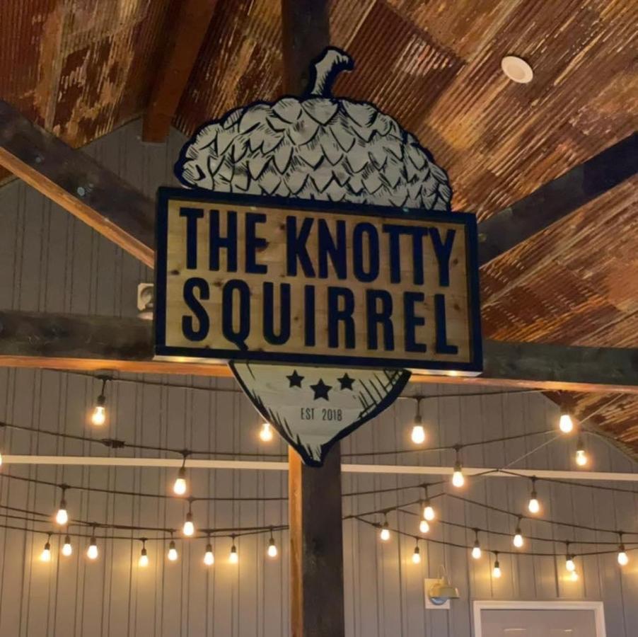 Knotty Squirrel Cabins Mountain View Exterior foto