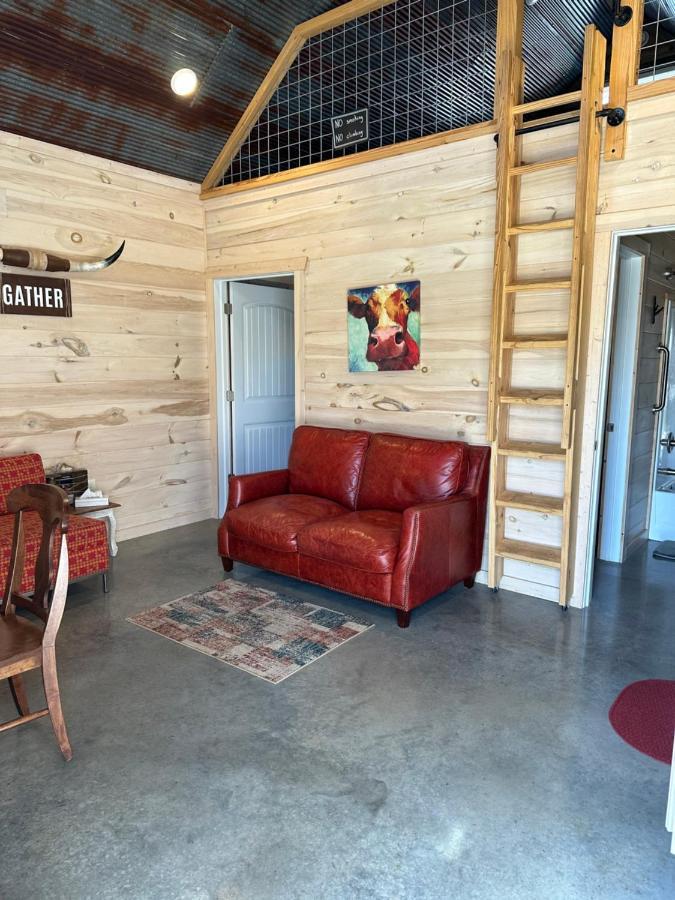 Knotty Squirrel Cabins Mountain View Exterior foto