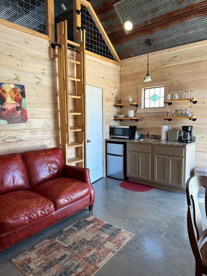Knotty Squirrel Cabins Mountain View Exterior foto